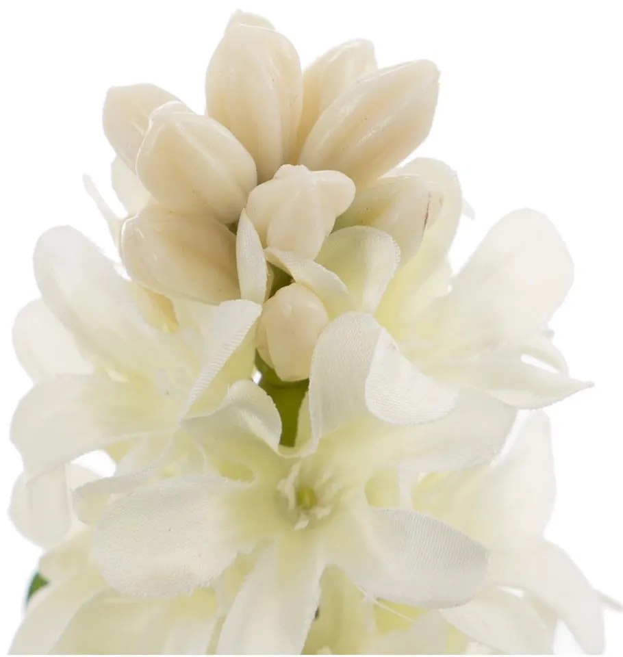 Műnövény (magasság 29 cm) Hyacinth – Ixia