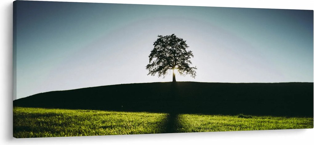 Természet kép - fa (120x50 cm)