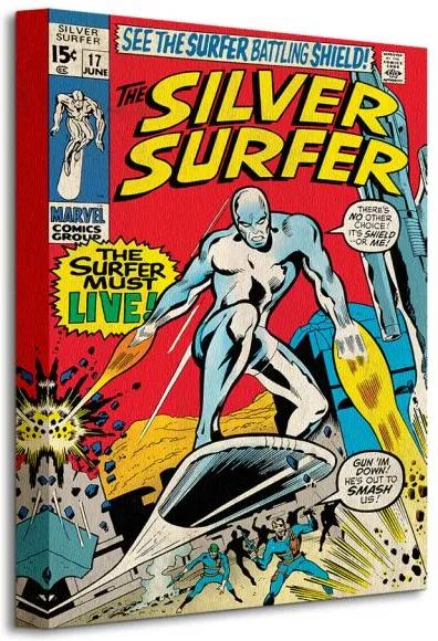 Vászonkép Marvel Silver Surfer (Must Live) 30x40cm WDC92204