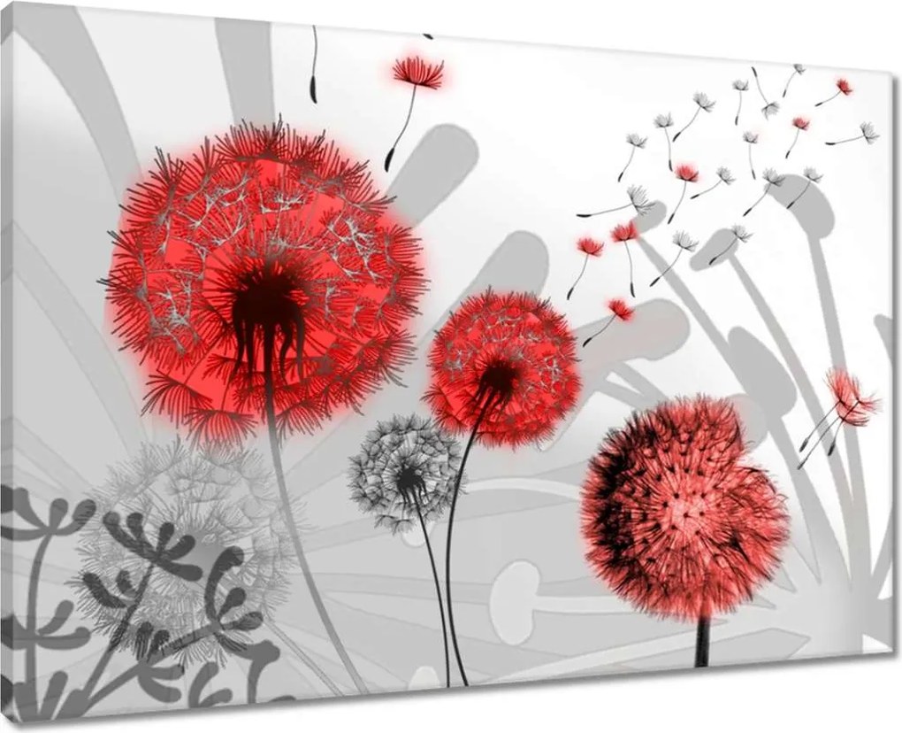 Vászonkép 70x50 Piros pitypangok