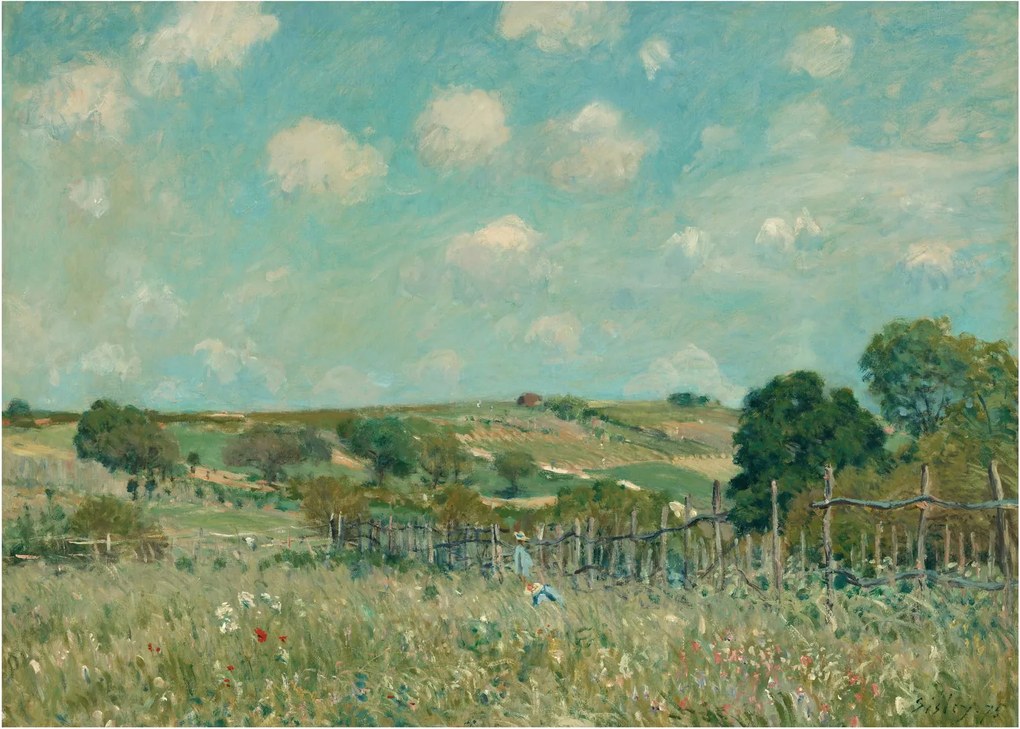Üveg kép - Alfred Sisley,  Meadow, reprodukciók (70x50 cm)