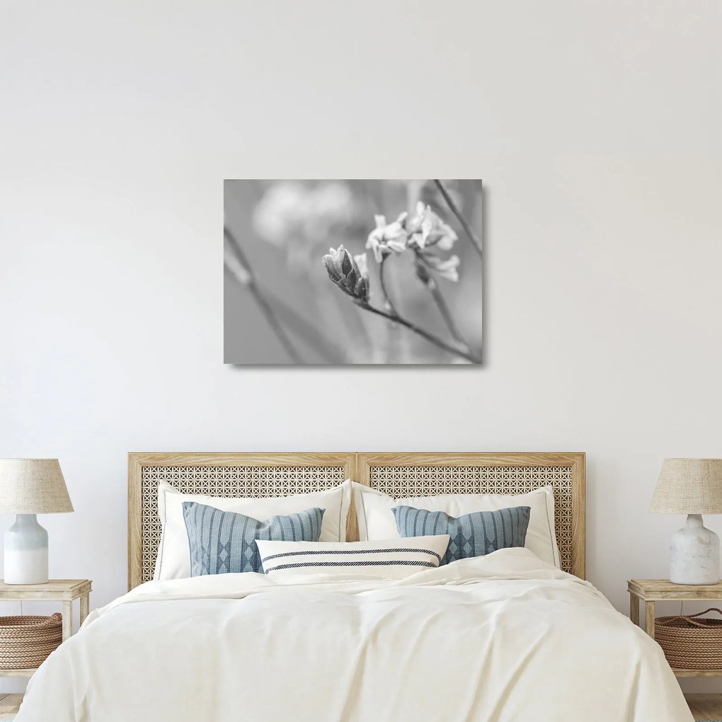 Üveg kép - Virágzó virág (70x50 cm)