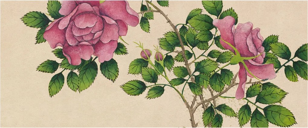 Divatos 3D Fali Tapéta Romantikus rózsák 250x104 Ragasztóval