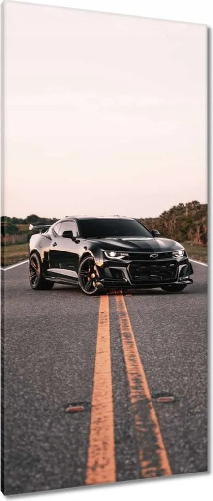 Vászonkép 55x115 Autó Fura Sport