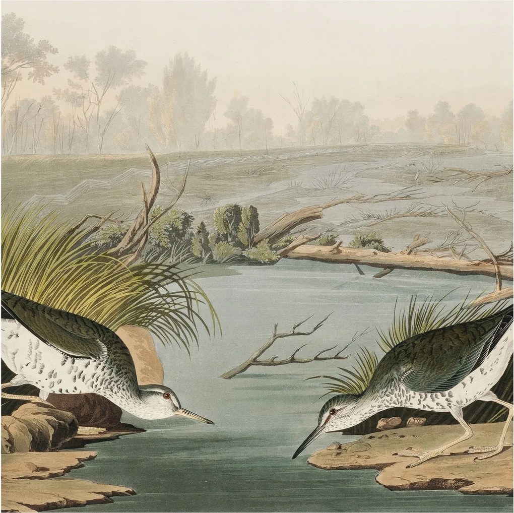 Flizelin tapéta Flizelin Fali Prémium Nyugodt tájkép 250x250