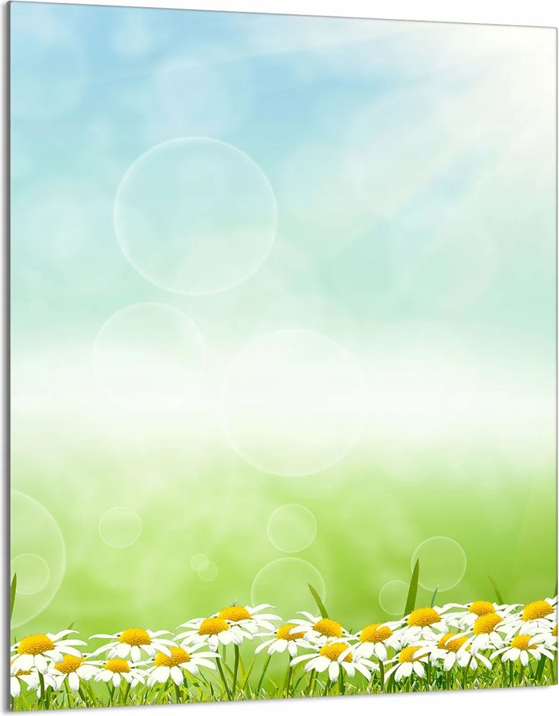 Üveg Vágódeszka 40x52 Margaréták a Konyhába