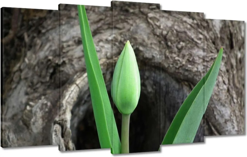 Vászonkép 100x60 Zöld tulipán