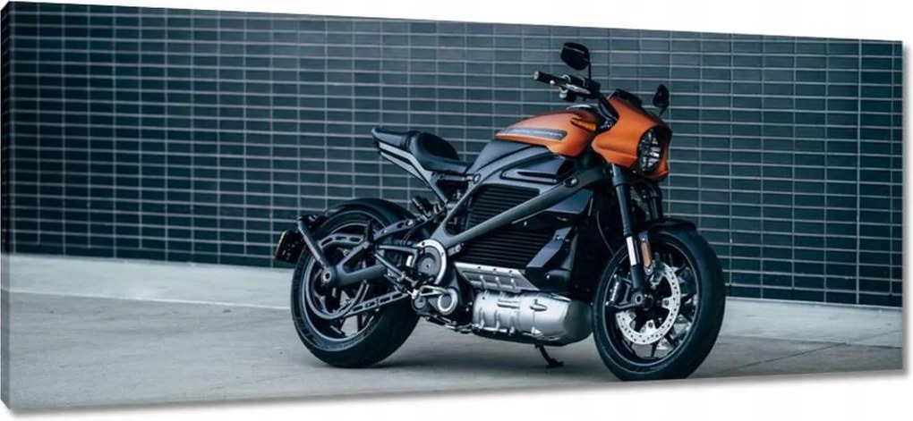 Képek 100x40 Harley Davidson Motorkerékpár