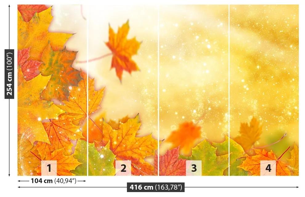 Fotótapéta Őszi levelek 104x70 cm