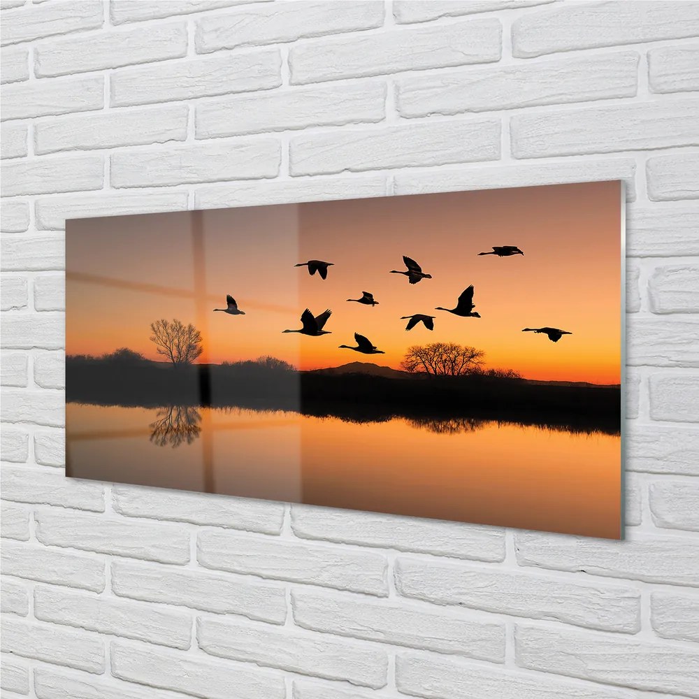 Üvegképek Repülő madarak naplemente 120x60cm