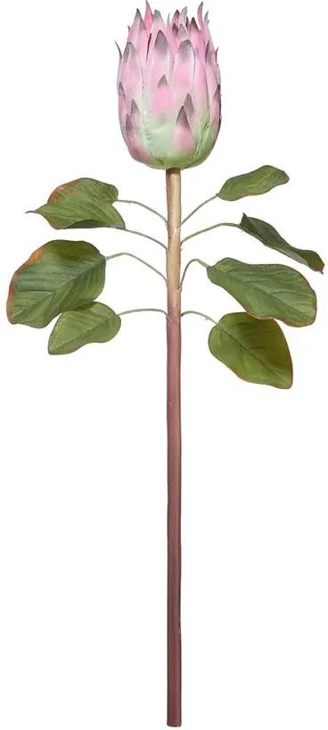 FLORISTA protea, rózsaszín 60cm