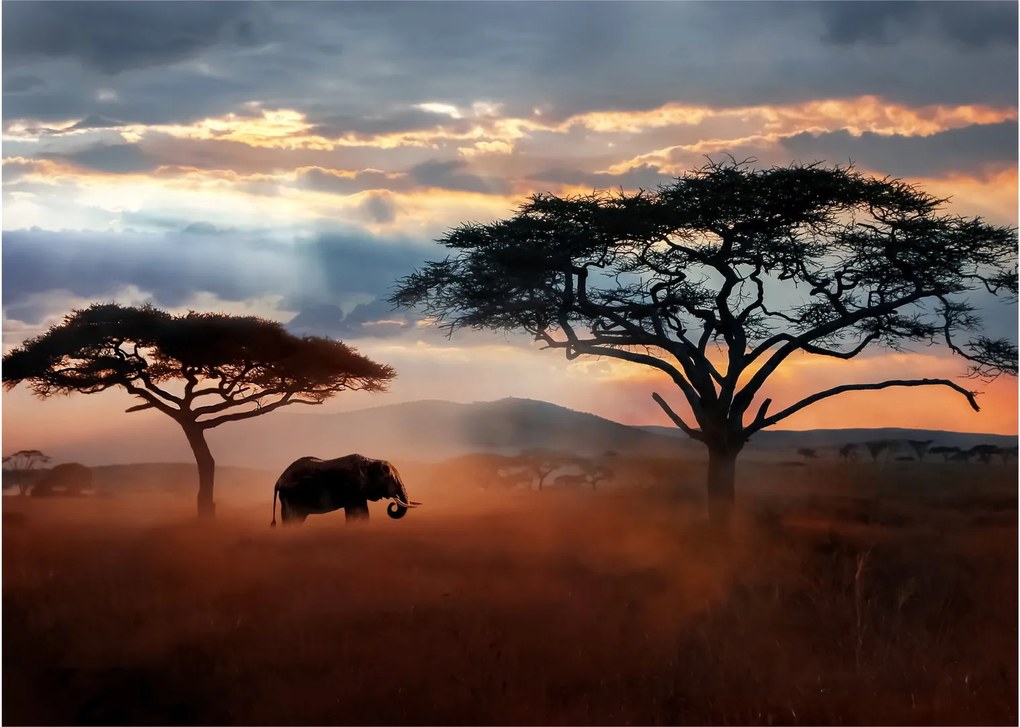 Kép - Serengeti Nemzeti Park, Tanzánia, Afrika (üvegen) (70x50 cm)