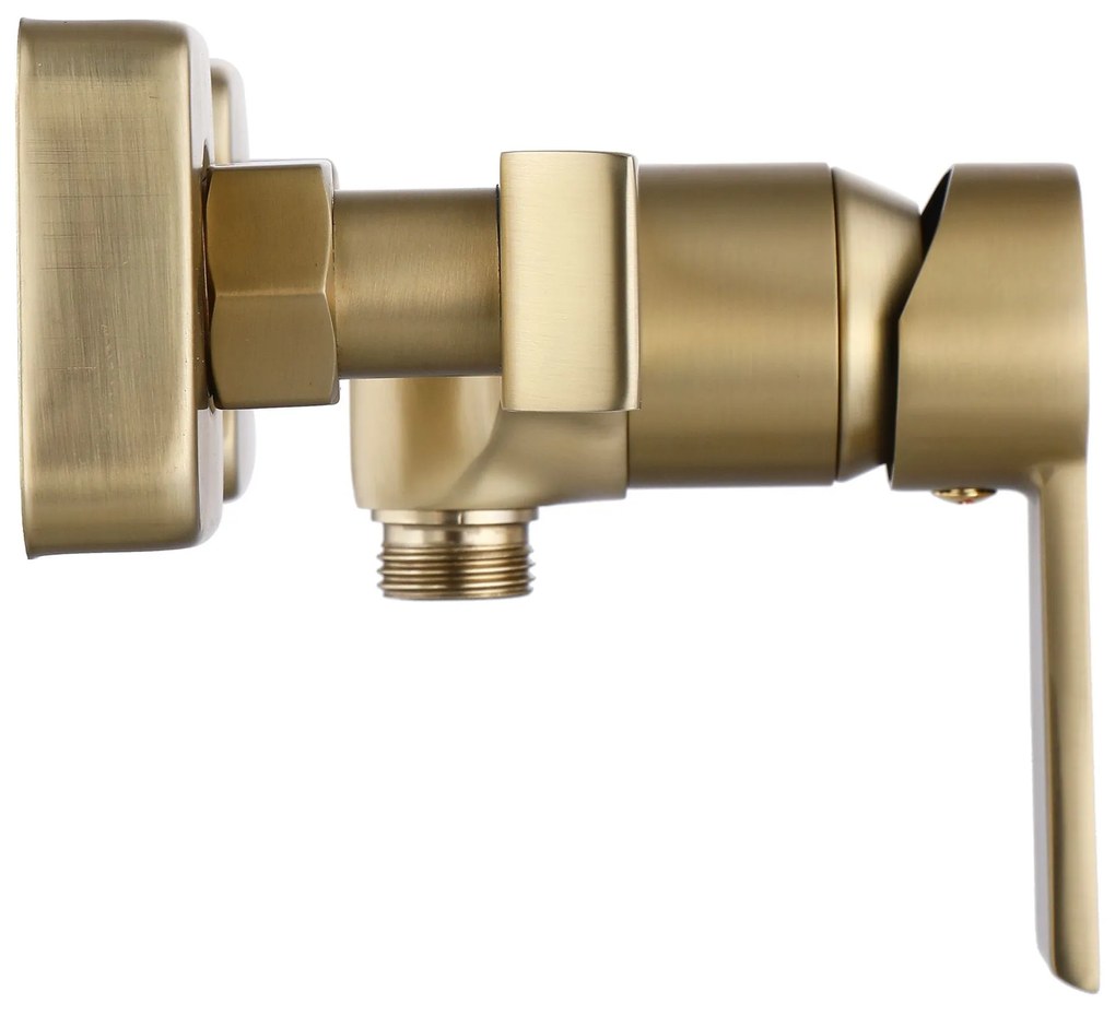 Zuhanycsaptelep ARGUS GOLD BRUSH