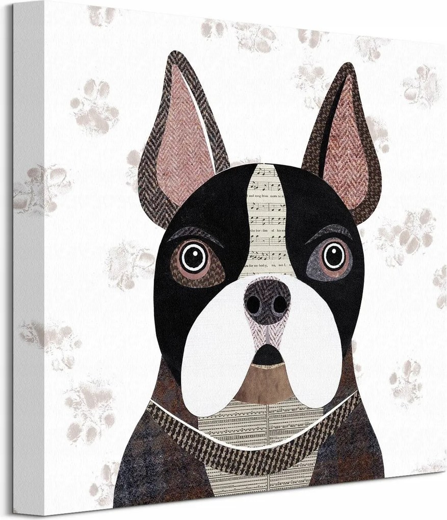 Francia bulldog vászonkép 40x40 cm