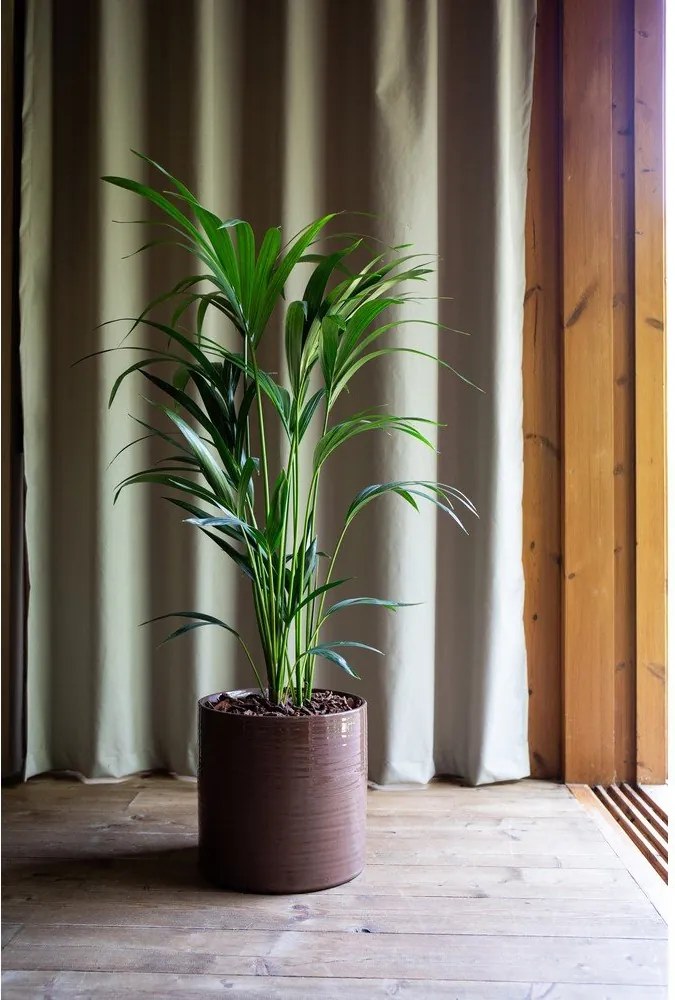 Kerámia kézzel készített kaspó ø 18 cm Fortuna – Artevasi