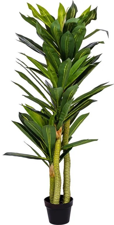 PLANTASIA Műnövény Dracaena 120 cm 81 levél