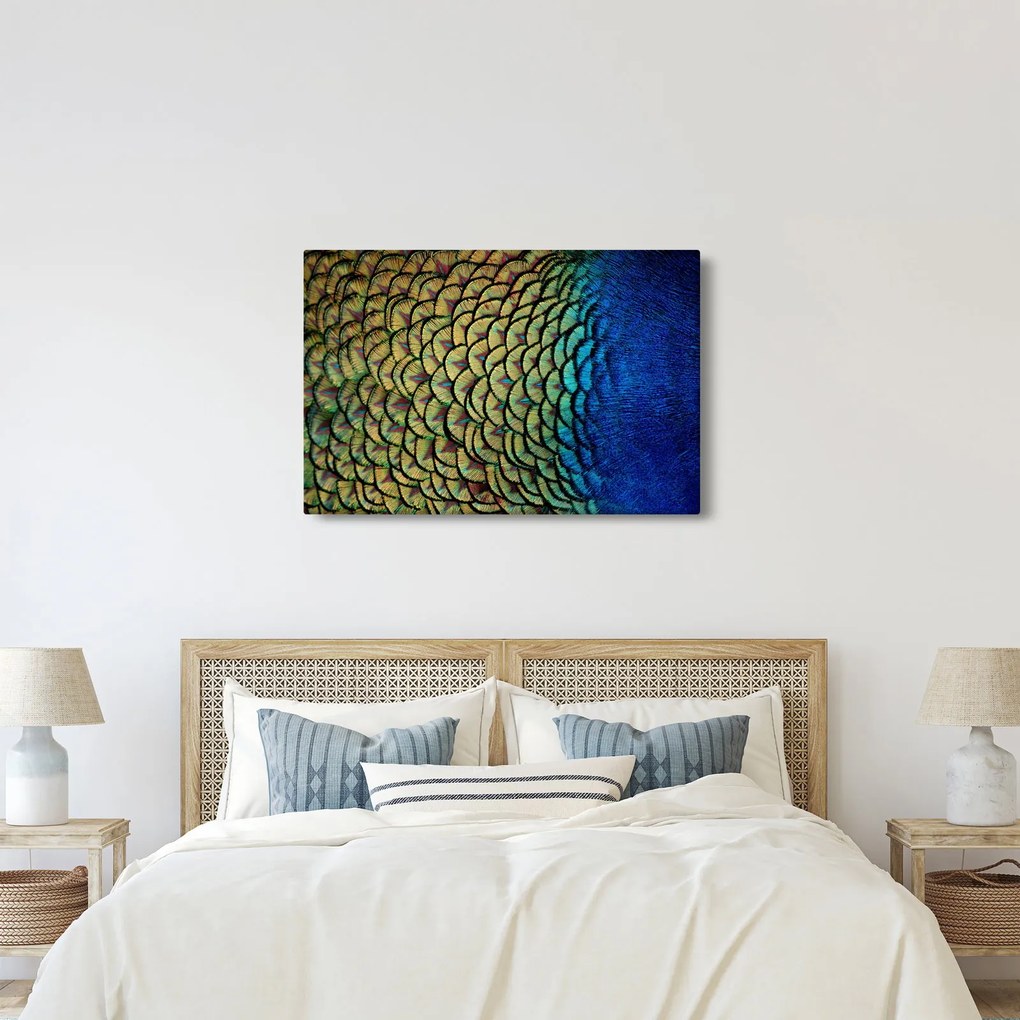 Kép - Pávatollak (90x60 cm)