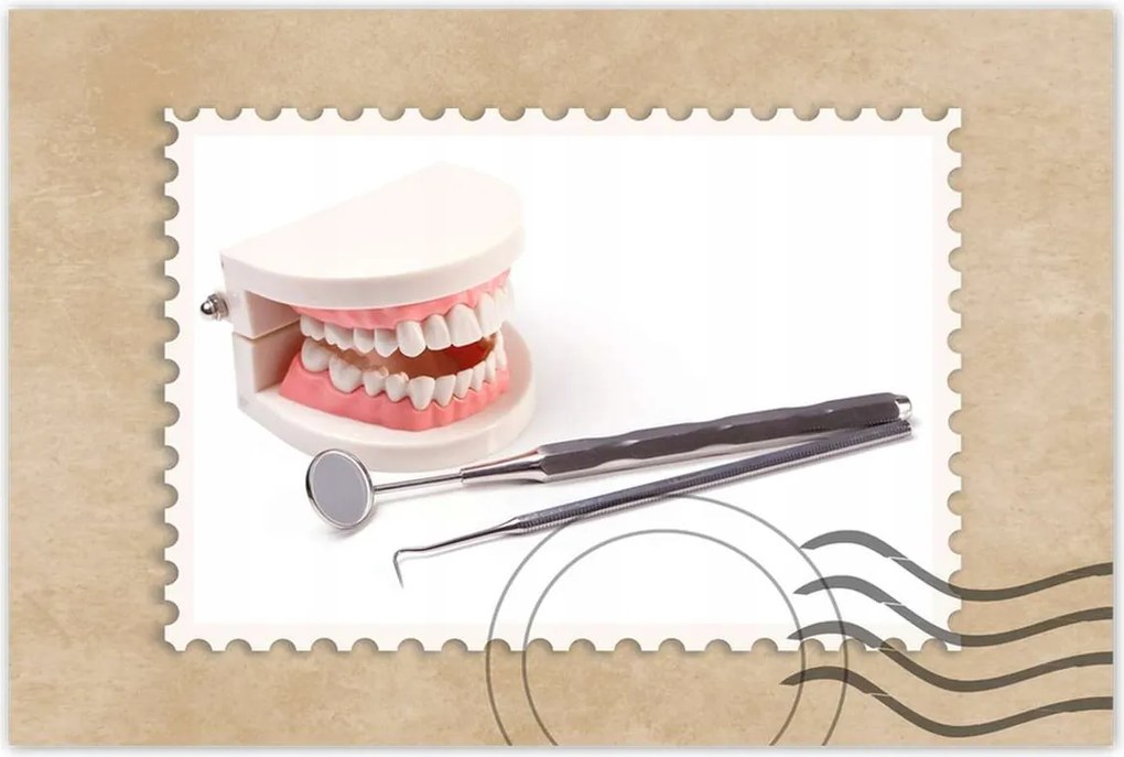 Poszter 60x40 Állkapocs tükörrel