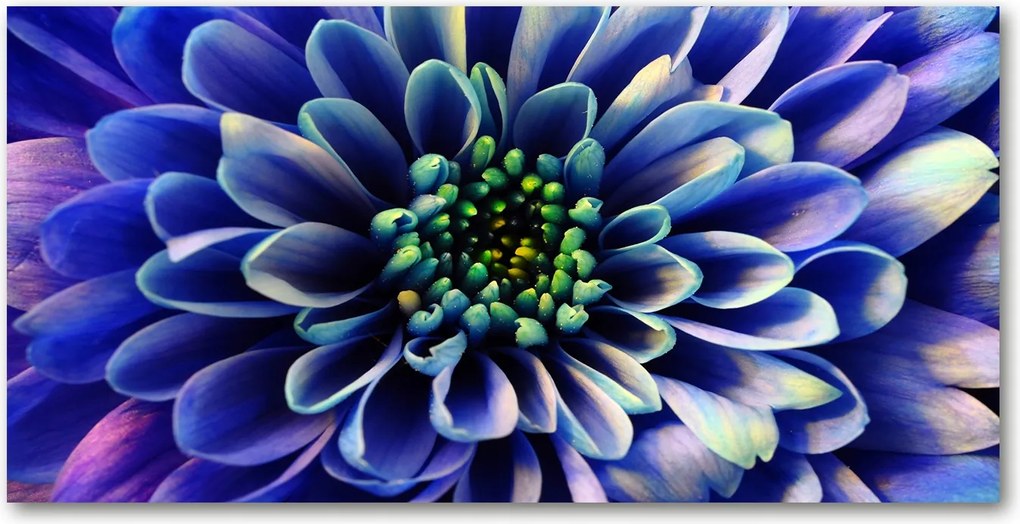 Aster konyhai üvegpanel 140x70 cm Ragasztó