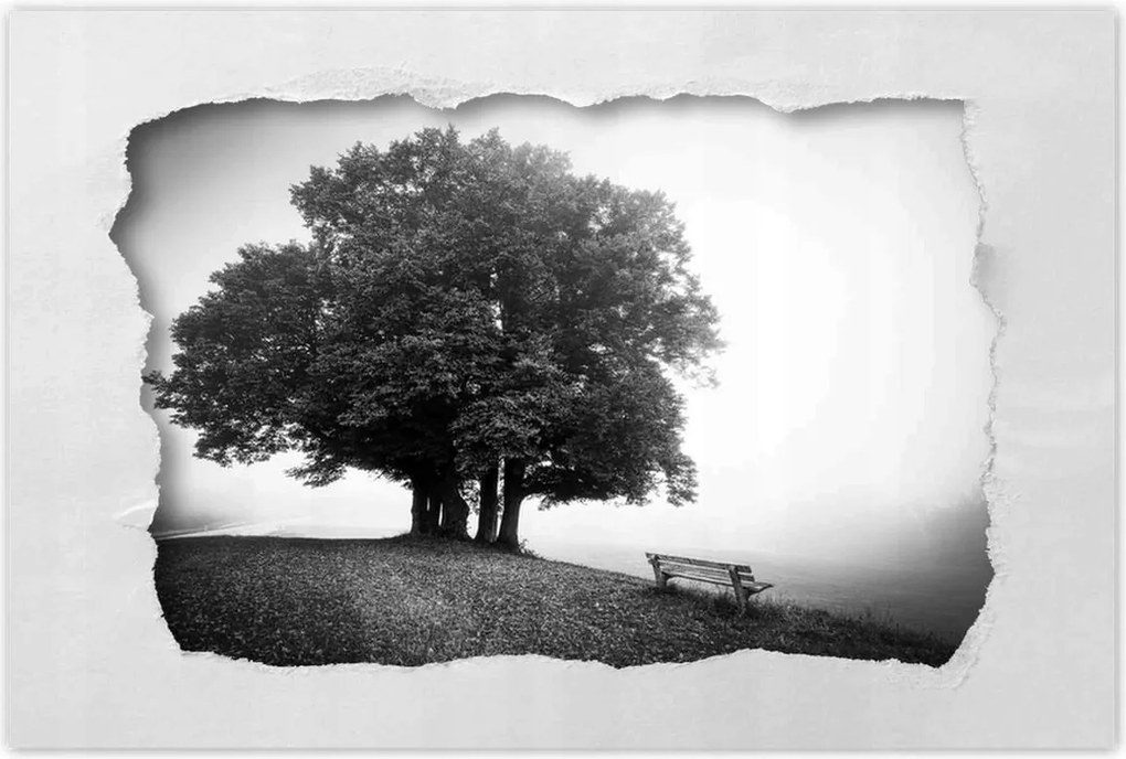 Poszterek 90x60 Tájkép szürke Bw