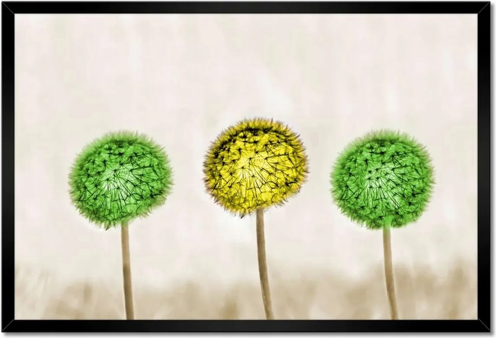 Poszter keretben 60x40 Sárga a lime között