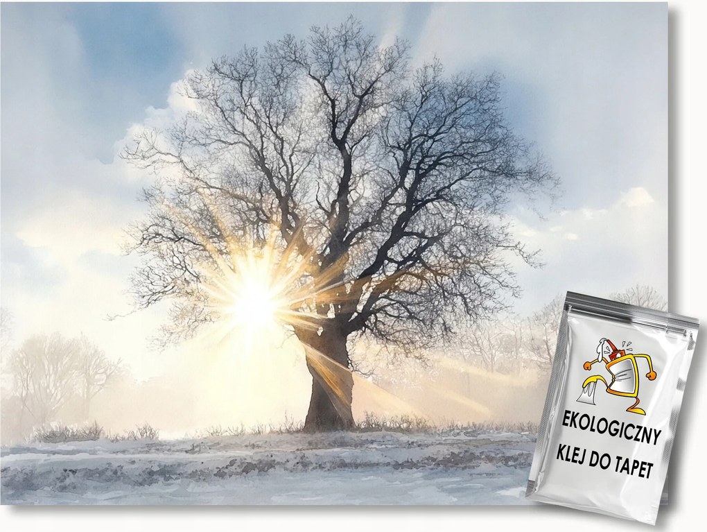 Fotótapéta Flizelina Tél Fa Hó Nap Fagy Reggel 350x250 ragasztó