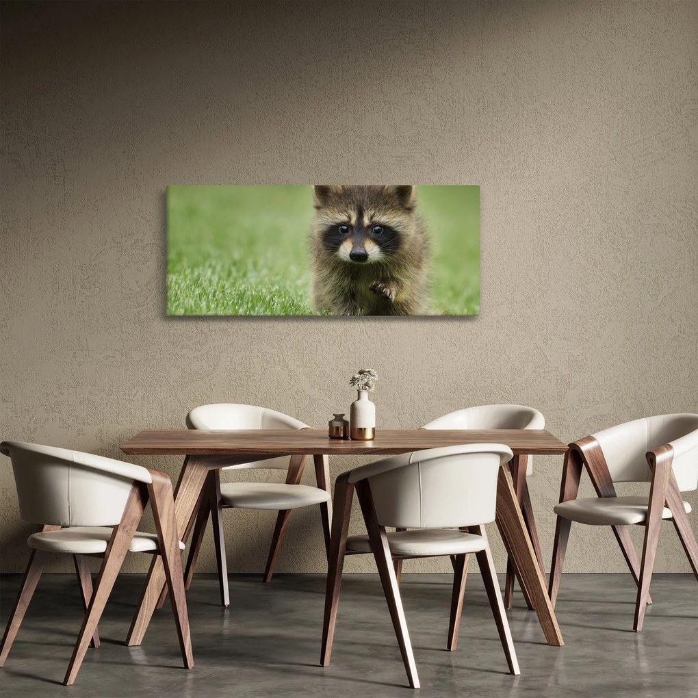 A mosómedve képe (120x50 cm)