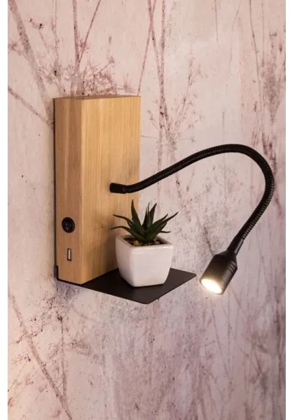 Spot-Light 5722174 - LED fali lámpa LECTOR LED/2,5W/230V USB tölgy