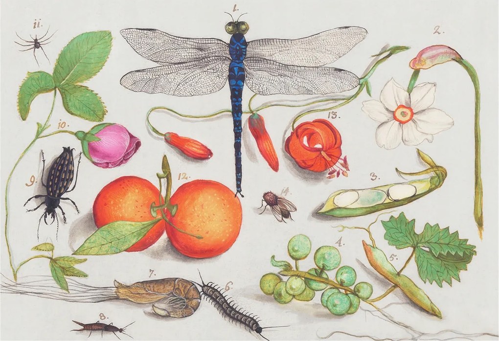 Flizelin tapéta Fali furnér 3D hatás Természeti illusztráció 152x104