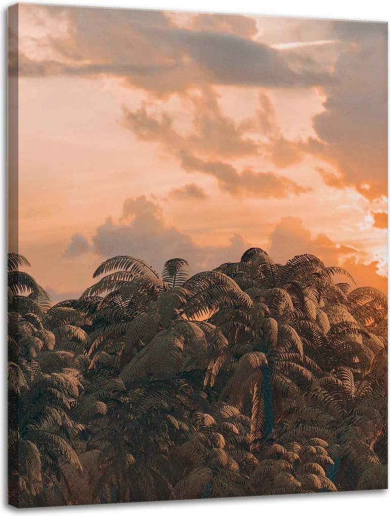 Vászonkép Fák Naplemente Felhők Égbolt 30x40 cm