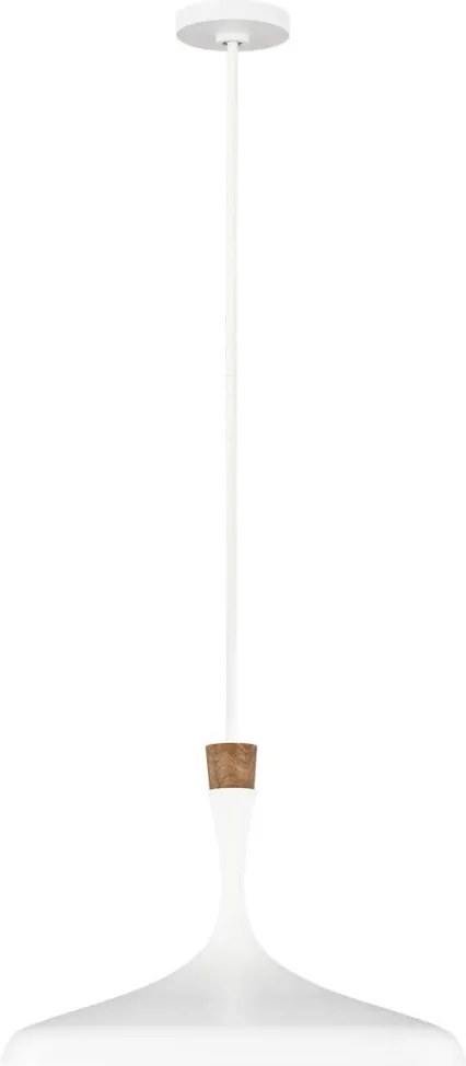Feiss DARWIN FE-DARWIN-P Függőlámpa 1x60W/E27
