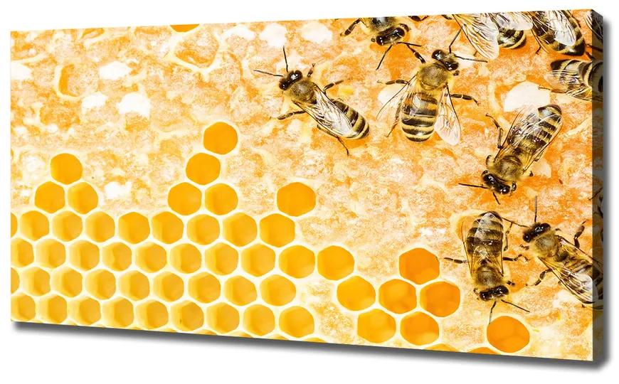 Vászonkép Dolgozó méhek pl-oc-120x60-f-74378590
