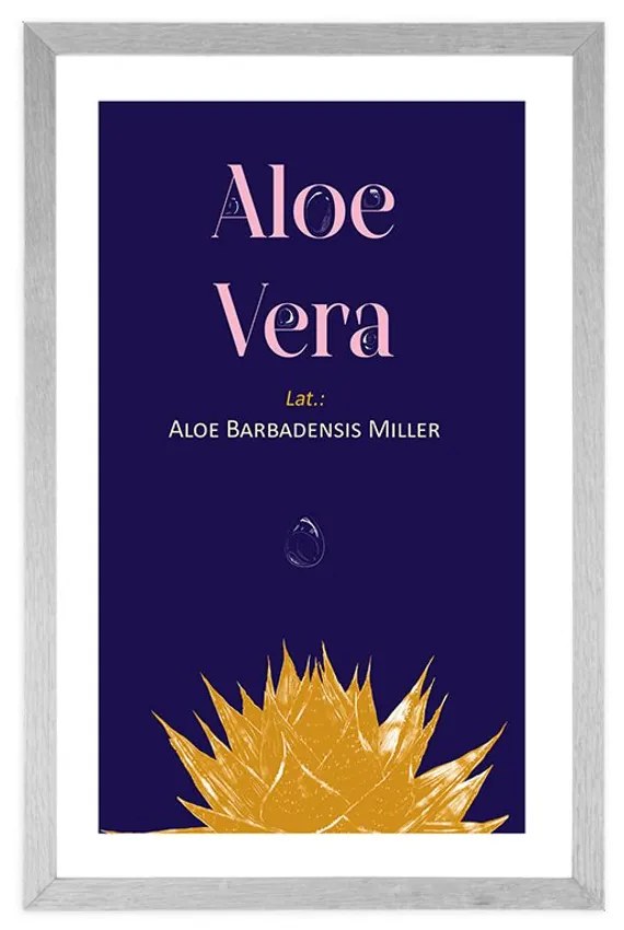 Poszter paszportuval  Aloe Vera felirattal