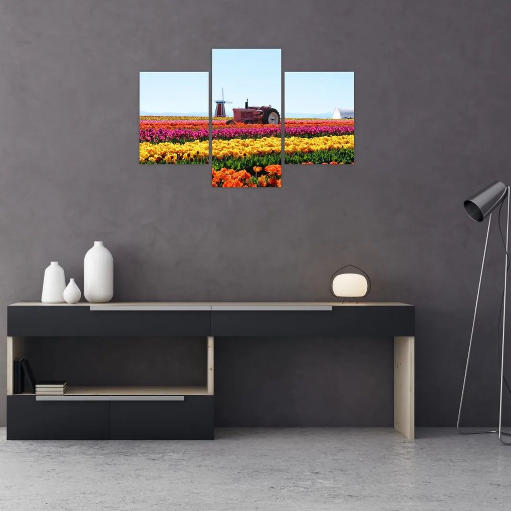 Tulipánfarm képe (90x60 cm)