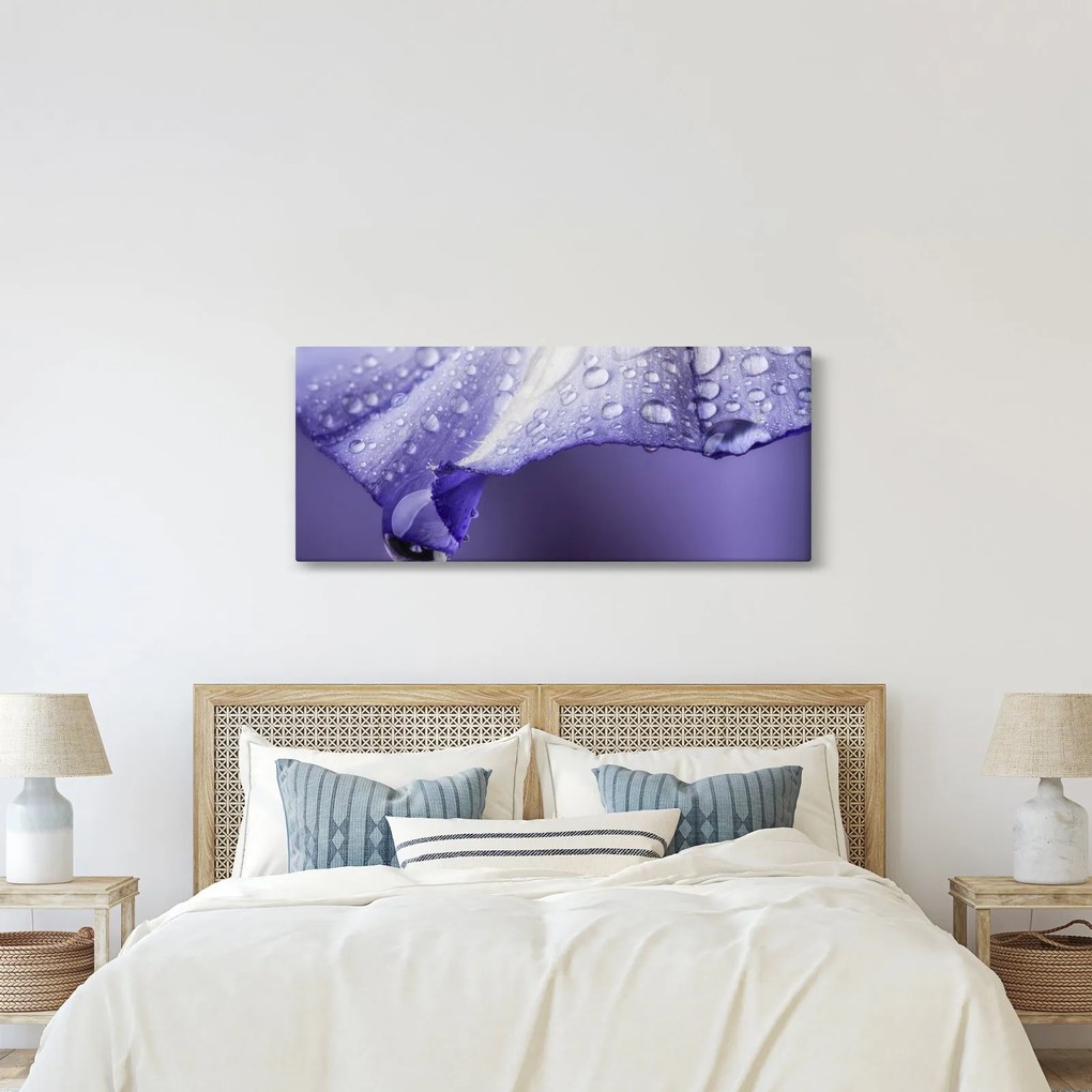 Kép - Szirom cseppekkel (120x50 cm)