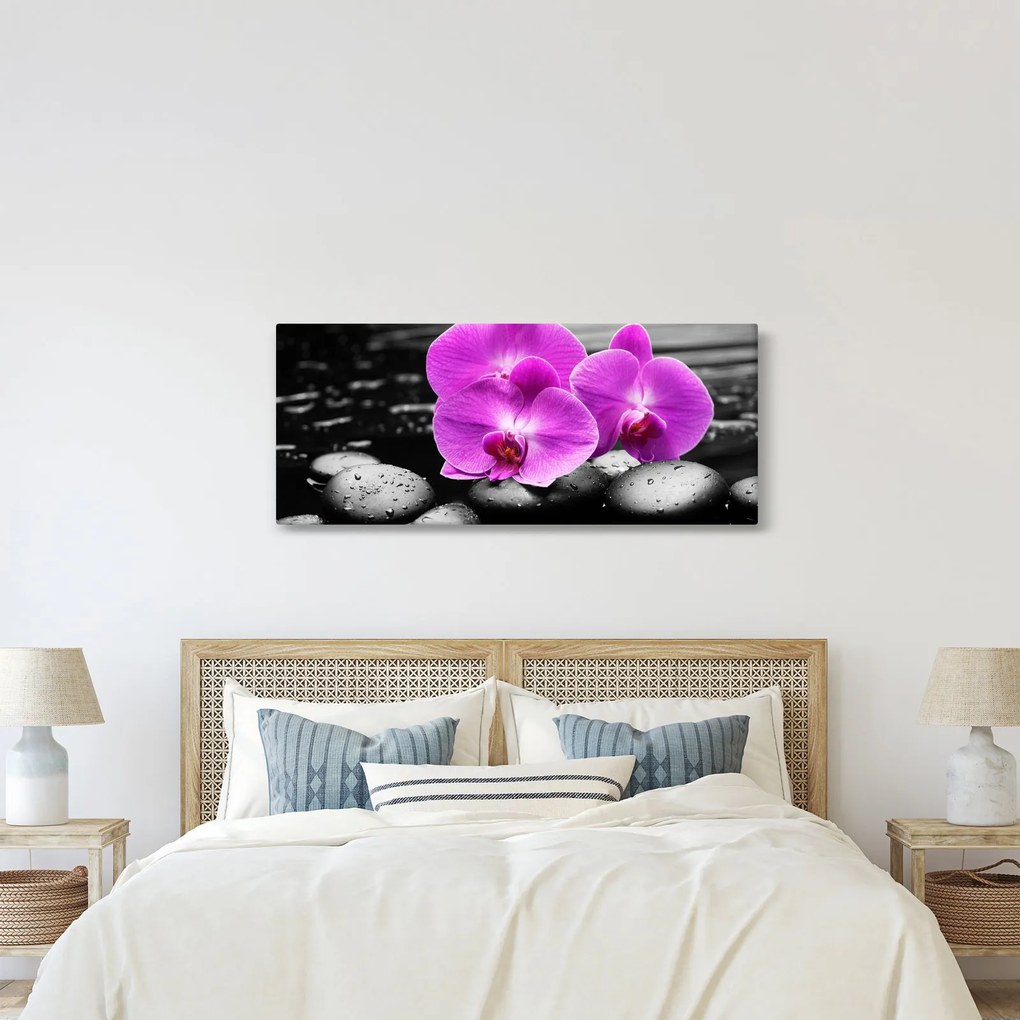 Kép - Lila orchideák (120x50 cm)