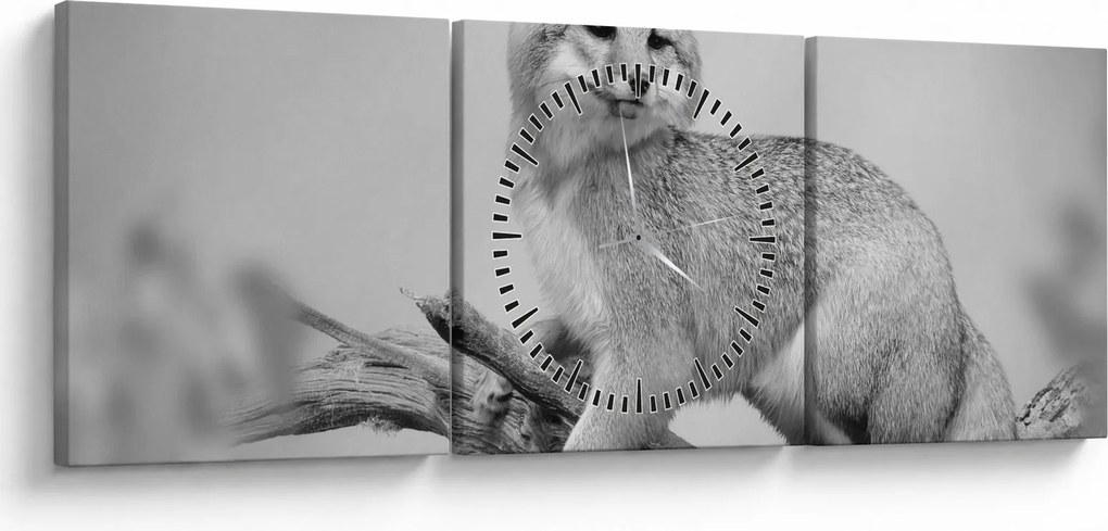 Kép - Szürke róka (órával) (90x30 cm)