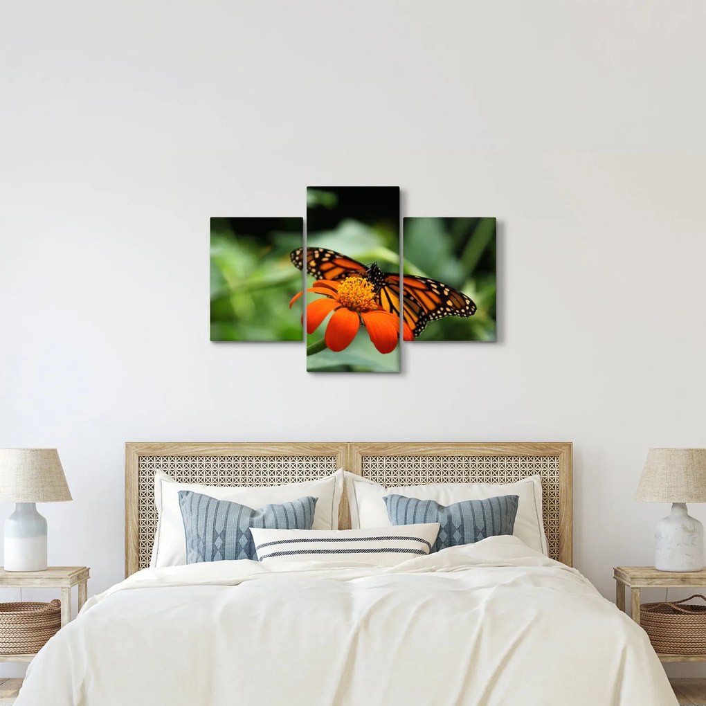 Pillangó képe a virágon (90x60 cm)