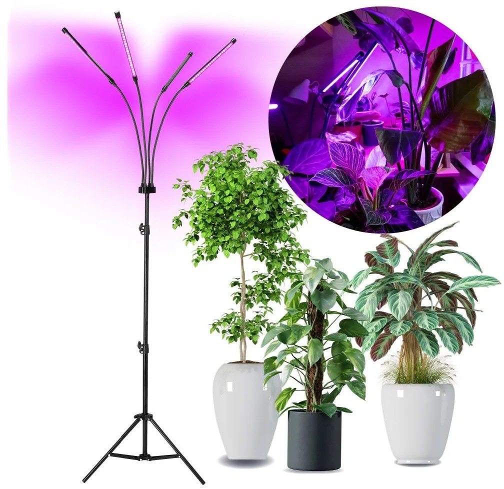 Kobi LED Dimmelhető állólámpa növények termesztésére VITARO 4xLED/7,5W/230V fekete KDSN00000086