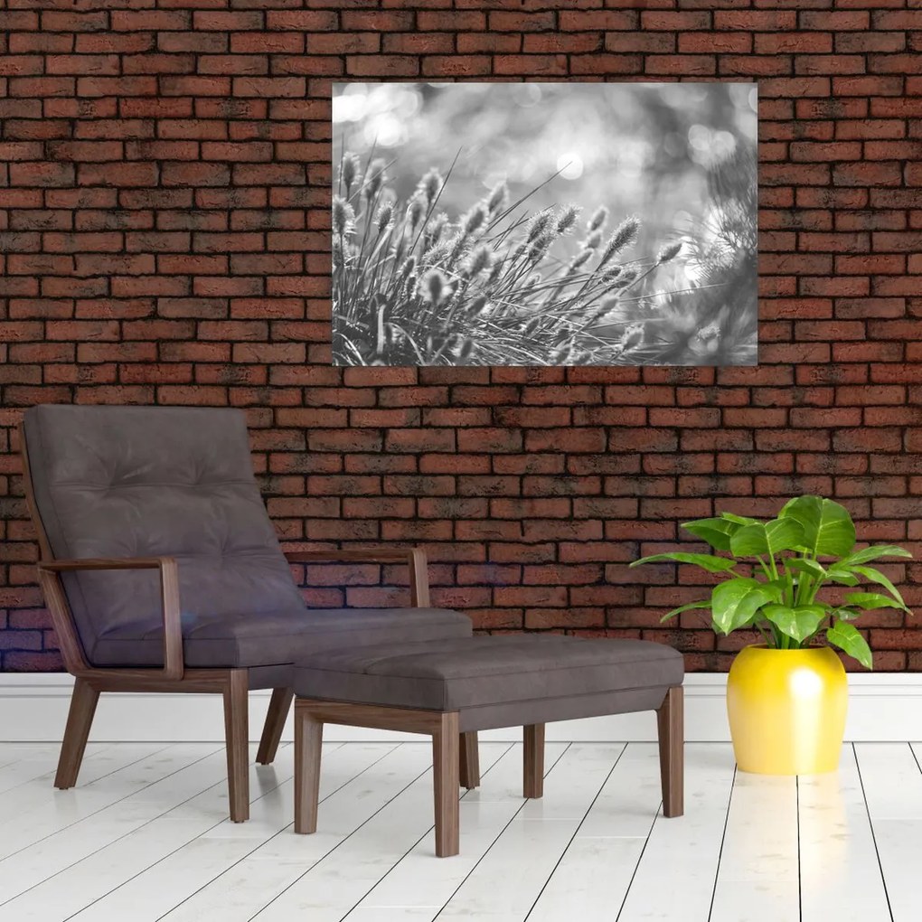 Kép - Bézs színű puha fű N⁰1 (90x60 cm)