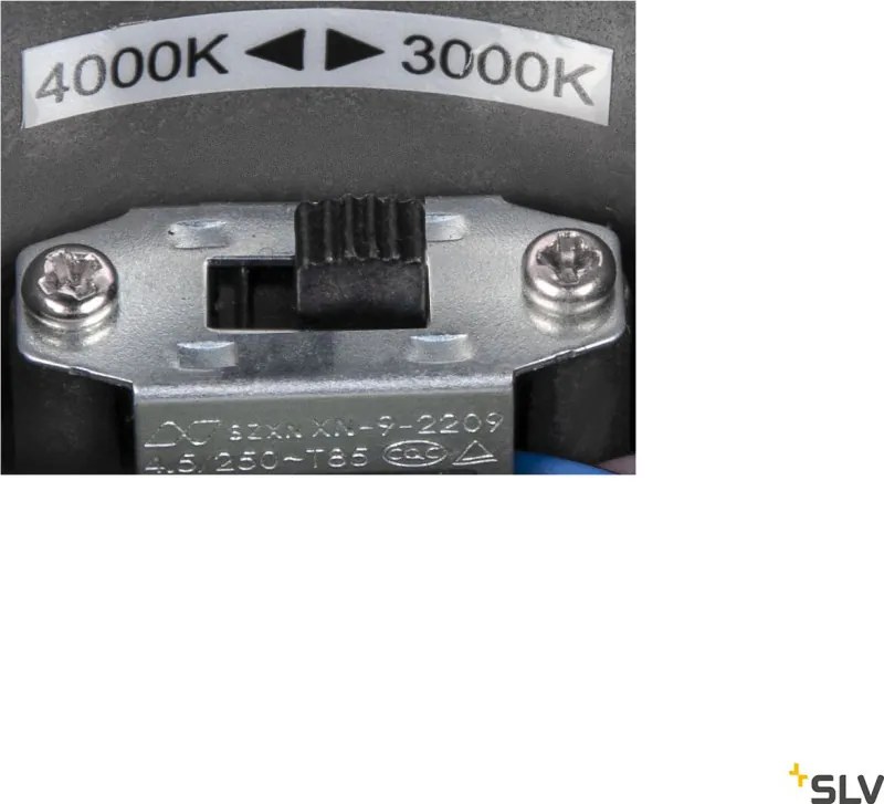 SLV 1004677 OVALISK Modern Kültéri Mennyezeti Lámpa LED IP65