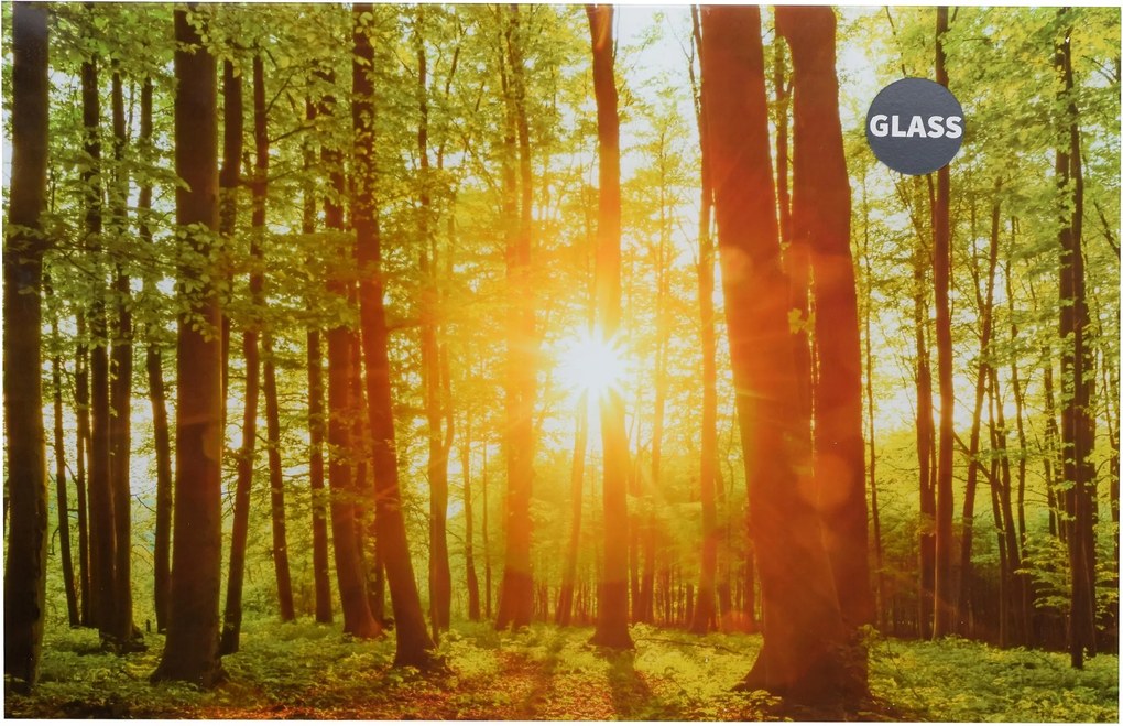 Üvegfestmény erdő nyugat természet őserdő fák 57x37 cm tájkép