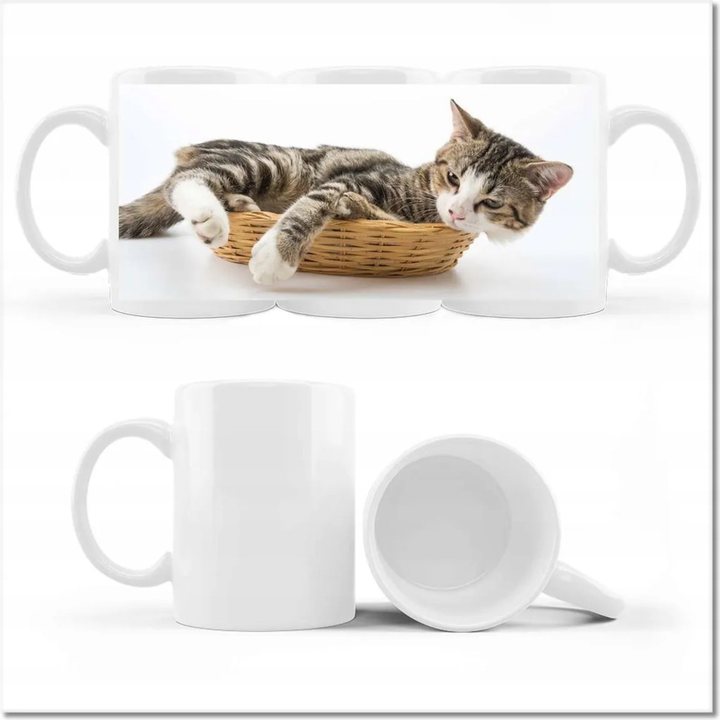 Cica fényképes bögre Cica