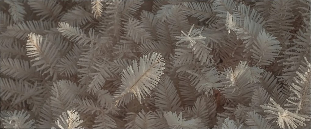 Divatos Flizelin Tapéta Fali Furnér Ágak 250x104 Ragasztó