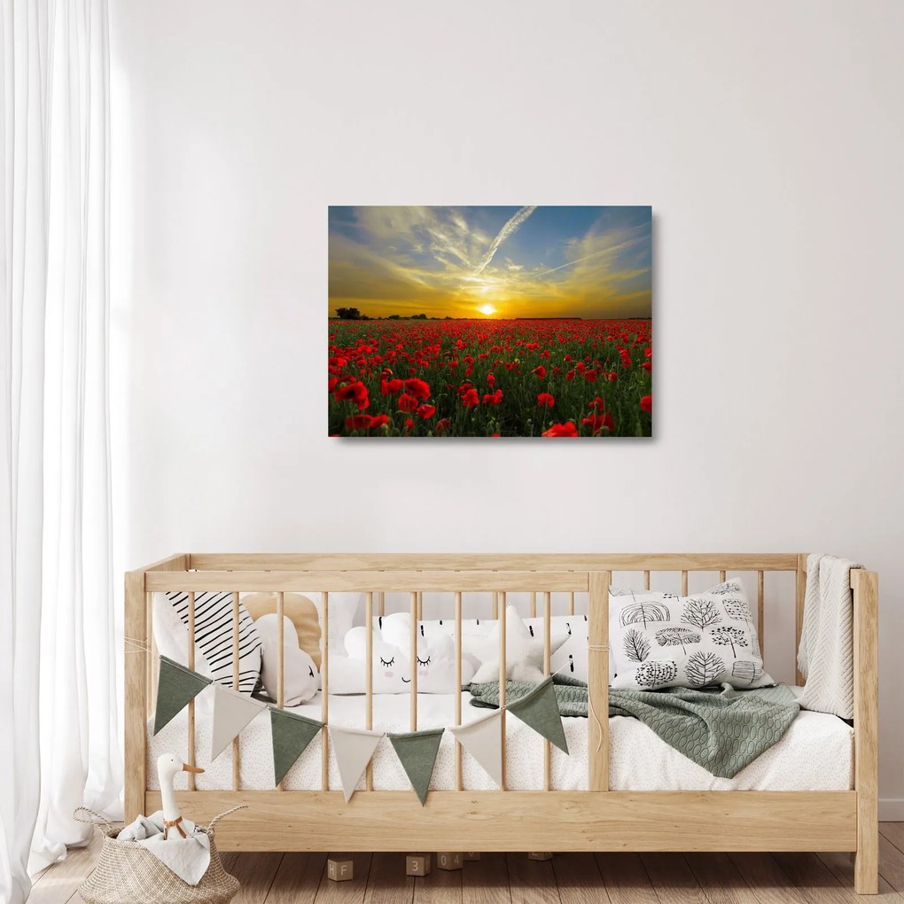 Egy kép a pipacs mezőről (üvegen) (70x50 cm)