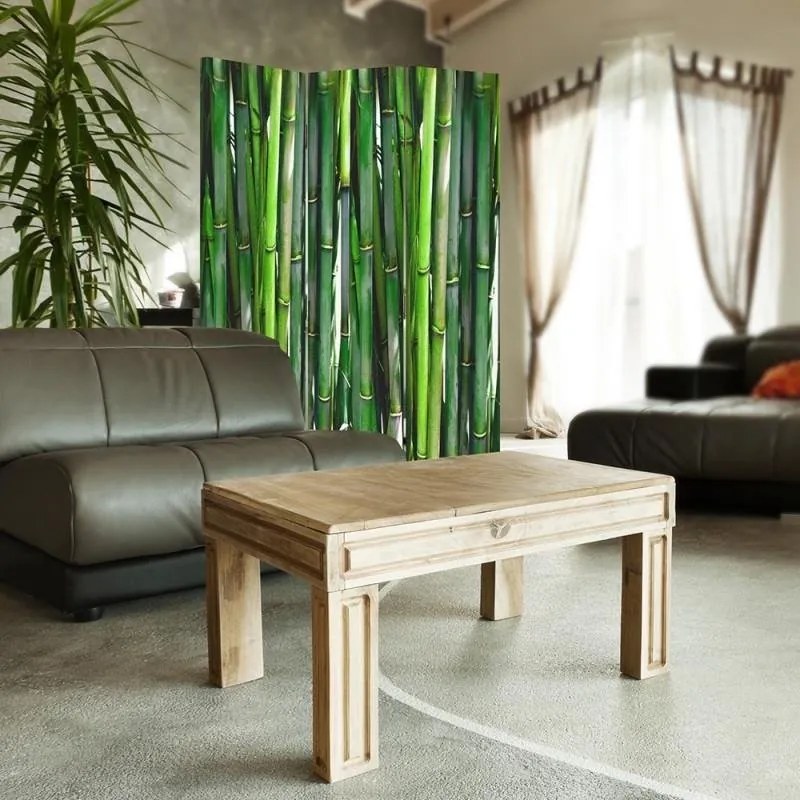 Gario Paraván Bambusz Méret: 110 x 170 cm, Kivitelezés: Forgó paraván 360°