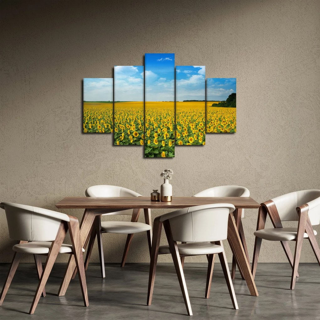 Kép - napraforgó (150x105 cm)