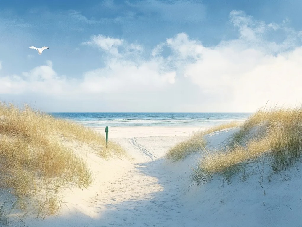 Vászonkép Canvas Ösvény A Tengerpartra Balti-tengeri Nyaralás 80 x 60