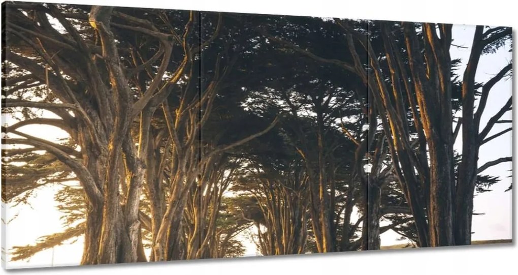 Festmények 120x60 Tájkép Látvány