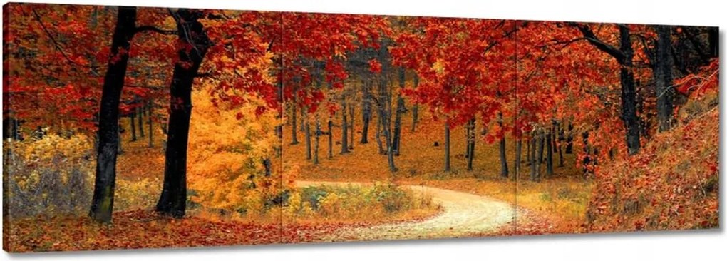 Vászonkép 60x20 Tájkép